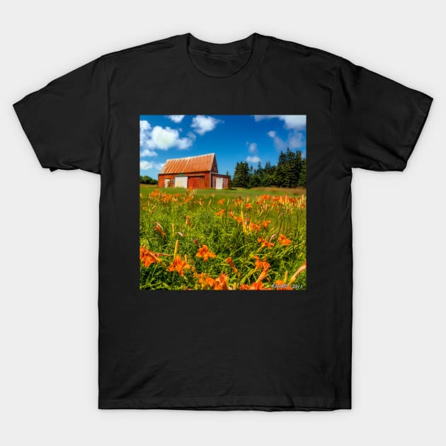 Old Barn in Cape Breton #2 T-Shirt by kenmo